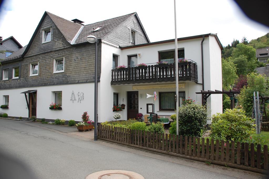 Ferienwohnung Klauke Winterberg Pokój zdjęcie